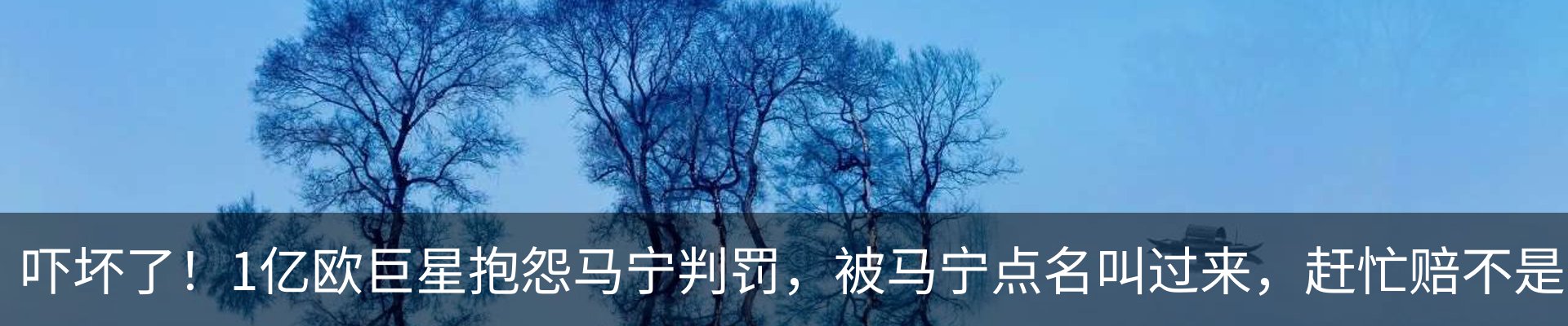 新闻动态